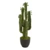 2.5’ Potted Cactus Plant -Flowers Michael Store D251716S 11