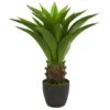 30" Potted Agave Plant -Flowers Michael Store D251718S 1
