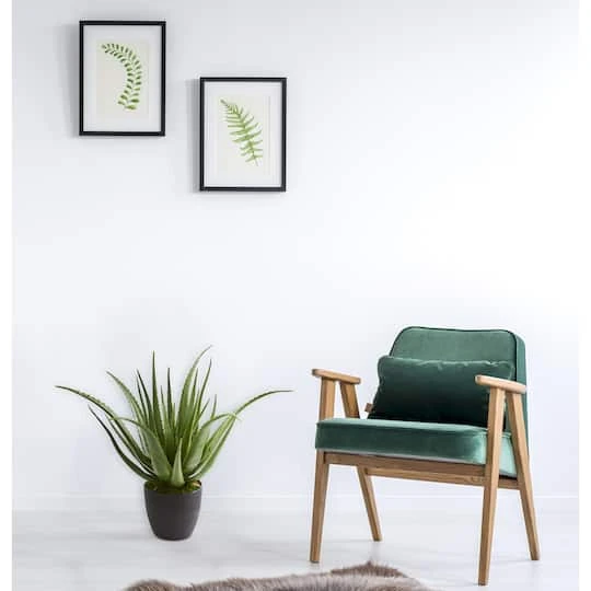 2ft. Potted Aloe Plant 5 2ft. Potted Aloe Plant - Image 3