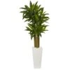5ft. Cornstalk Dracaena Plant In White Tower Planter -Flowers Michael Store D251738S 11