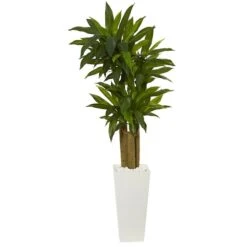 5ft. Cornstalk Dracaena Plant In White Tower Planter