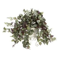 24" Wandering Jew In Metal White Planter -Flowers Michael Store D251768S 1 1
