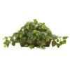 15" Pothos In Ledge Basket -Flowers Michael Store D251779S 11