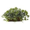 12.5" Puff Ivy In Ledge Basket -Flowers Michael Store D251780S 11