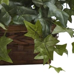 12.5" Puff Ivy In Ledge Basket -Flowers Michael Store D251780S 13