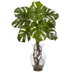 2ft. Monstera Plant In Glass Vase -Flowers Michael Store D251788S 11 1