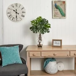 2ft. Monstera Plant In Glass Vase -Flowers Michael Store D251788S 15