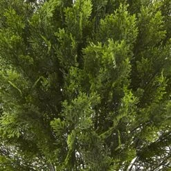 3ft. Potted Cedar Bush -Flowers Michael Store D251790S 13