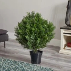 3ft. Potted Cedar Bush -Flowers Michael Store D251790S 14