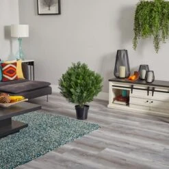 3ft. Potted Cedar Bush -Flowers Michael Store D251790S 15