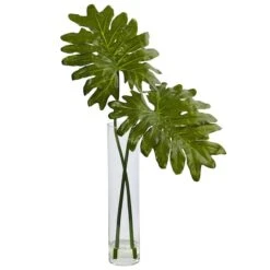 2.5ft. Philodendron Leaves In Cylinder Glass Vase -Flowers Michael Store D251797S 11 1
