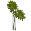 2.5ft. Philodendron Leaves In Cylinder Glass Vase -Flowers Michael Store D251797S 11