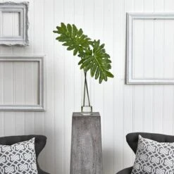 2.5ft. Philodendron Leaves In Cylinder Glass Vase -Flowers Michael Store D251797S 12