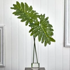 2.5ft. Philodendron Leaves In Cylinder Glass Vase -Flowers Michael Store D251797S 13
