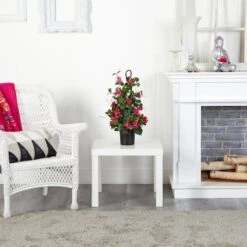 2ft. Potted Bougainvillea Climbing Plant -Flowers Michael Store D251804S 13