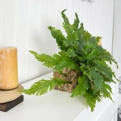 26" Green Fern Artificial Ledge Plant -Flowers Michael Store D251806S 17