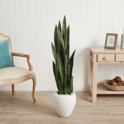4.25ft. Sansevieria Plant In White Planter -Flowers Michael Store D251812S 12