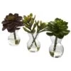Succulent Arrangements In Vases 3ct. -Flowers Michael Store D251816S 11