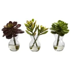Succulent Arrangements In Vases 3ct. -Flowers Michael Store D251816S 12