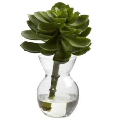 Succulent Arrangements In Vases 3ct. -Flowers Michael Store D251816S 13