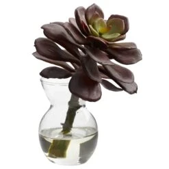 Succulent Arrangements In Vases 3ct. -Flowers Michael Store D251816S 14