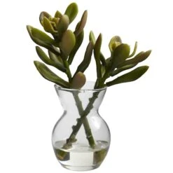 Succulent Arrangements In Vases 3ct. -Flowers Michael Store D251816S 15