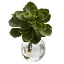 Succulent Arrangements In Vases 3ct. -Flowers Michael Store D251816S 16