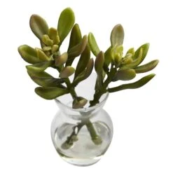 Succulent Arrangements In Vases 3ct. -Flowers Michael Store D251816S 18