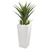 40" Spiky Agave Plant In White Planter -Flowers Michael Store D251817S 11