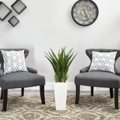 40" Spiky Agave Plant In White Planter -Flowers Michael Store D251817S 12