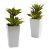 11.5" Double Mini Agave Arrangement With Planter, 2ct. -Flowers Michael Store D251820S 11
