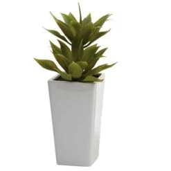 11.5" Double Mini Agave Arrangement With Planter, 2ct. -Flowers Michael Store D251820S 12