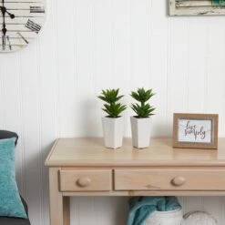 11.5" Double Mini Agave Arrangement With Planter, 2ct. -Flowers Michael Store D251820S 15