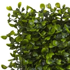 Green Boxwood Mat Set, 12ct. 9 Green Boxwood Mat Set, 12ct. -Flowers Michael Store D251824S 13