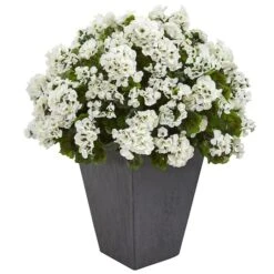 2.5ft. White Geranium In Slate Planter