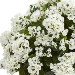 2.5ft. White Geranium In Slate Planter -Flowers Michael Store D251832S 12