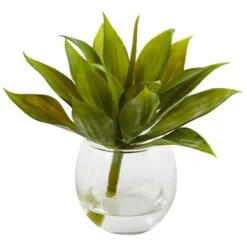 5.75" Mini Agave Succulent In Glass Vase, 3ct. -Flowers Michael Store D251838S 2