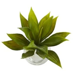 5.75" Mini Agave Succulent In Glass Vase, 3ct. -Flowers Michael Store D251838S 3
