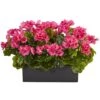 13" Beauty Geranium In Rectangular Planter -Flowers Michael Store D251842S 11