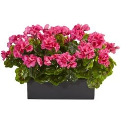 13" Beauty Geranium In Rectangular Planter