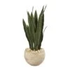 2.5ft. Snake Plant In Sand Colored Planter -Flowers Michael Store D251873S 1