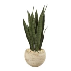 2.5ft. Snake Plant In Sand Colored Planter