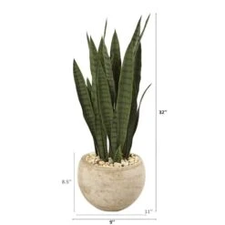 2.5ft. Snake Plant In Sand Colored Planter -Flowers Michael Store D251873S 2