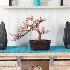 15" Potted Cherry Blossom Bonsai Silk Tree -Flowers Michael Store D251876S 12
