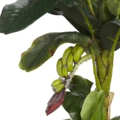 5ft. Potted Banana Tree -Flowers Michael Store D251918S 12