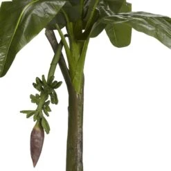 6ft. Potted Banana Tree -Flowers Michael Store D251921S 12