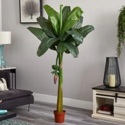 6ft. Potted Banana Tree -Flowers Michael Store D251921S 14