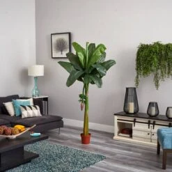 6ft. Potted Banana Tree -Flowers Michael Store D251921S 15