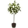 2.5ft. Topiary In Decorative Planter -Flowers Michael Store D251960S 11