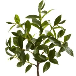 2.5ft. Topiary In Decorative Planter -Flowers Michael Store D251960S 12